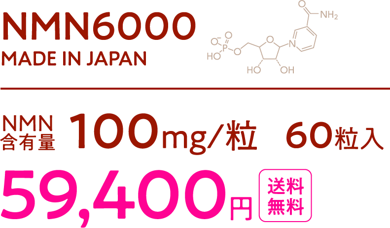 NMN6000 MADE IN JAPAN NMN100ｍｇ/粒 60粒入 59,400円 送料無料