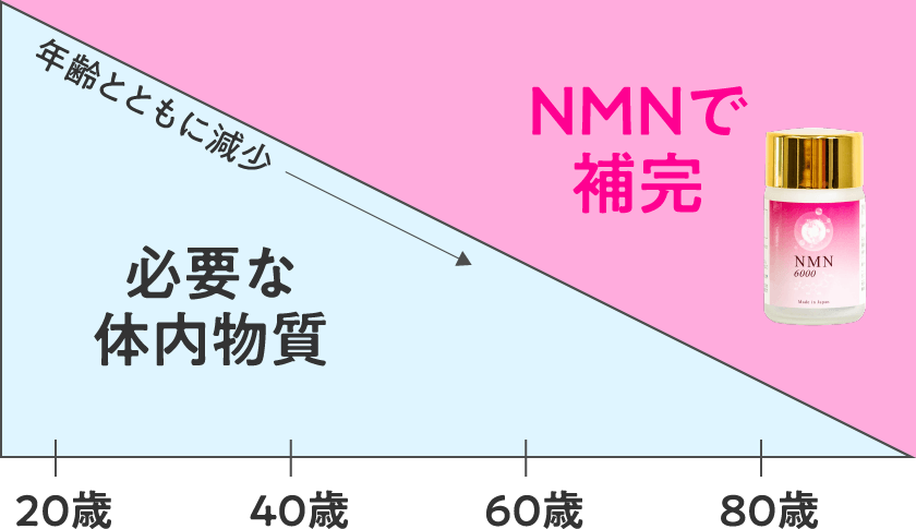 NMNは 加齢によって減少する 体内物質を補完してくれる